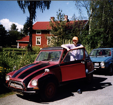 Enars utseende varierar